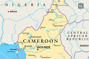 86 islamistes tués au Cameroun