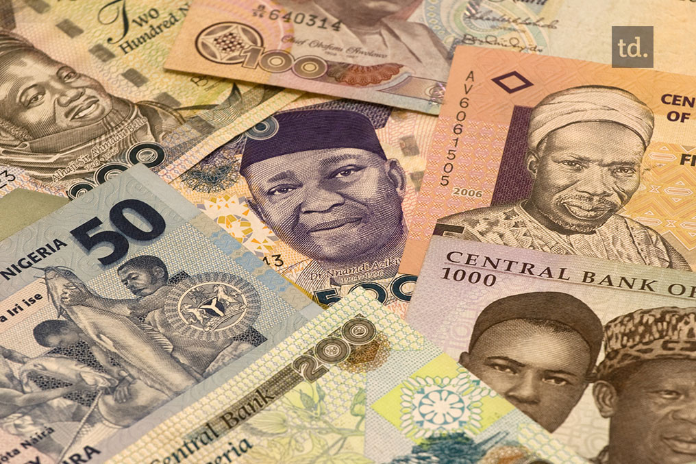 Nigeria : vaste fraude aux devises