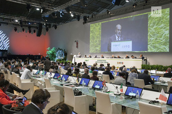 Sommet de la FAO à Rome