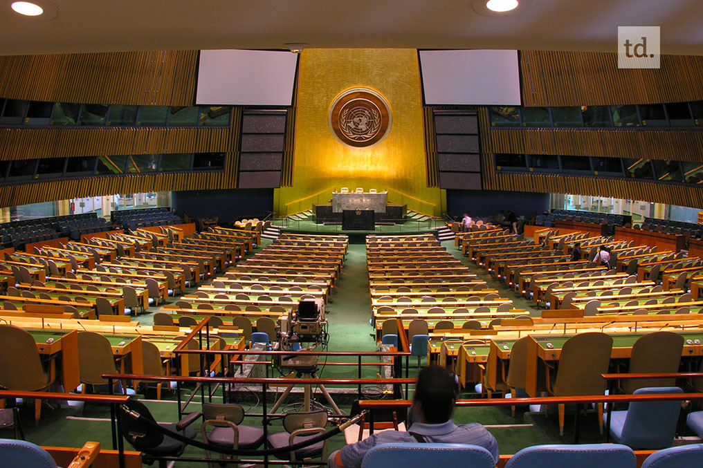 L'Assemblée générale tente de contourner le Conseil de sécurité 