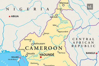 116 islamistes tués par l'armée camerounaise 