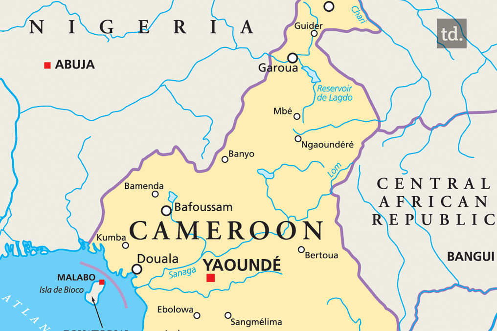 86 islamistes tués au Cameroun