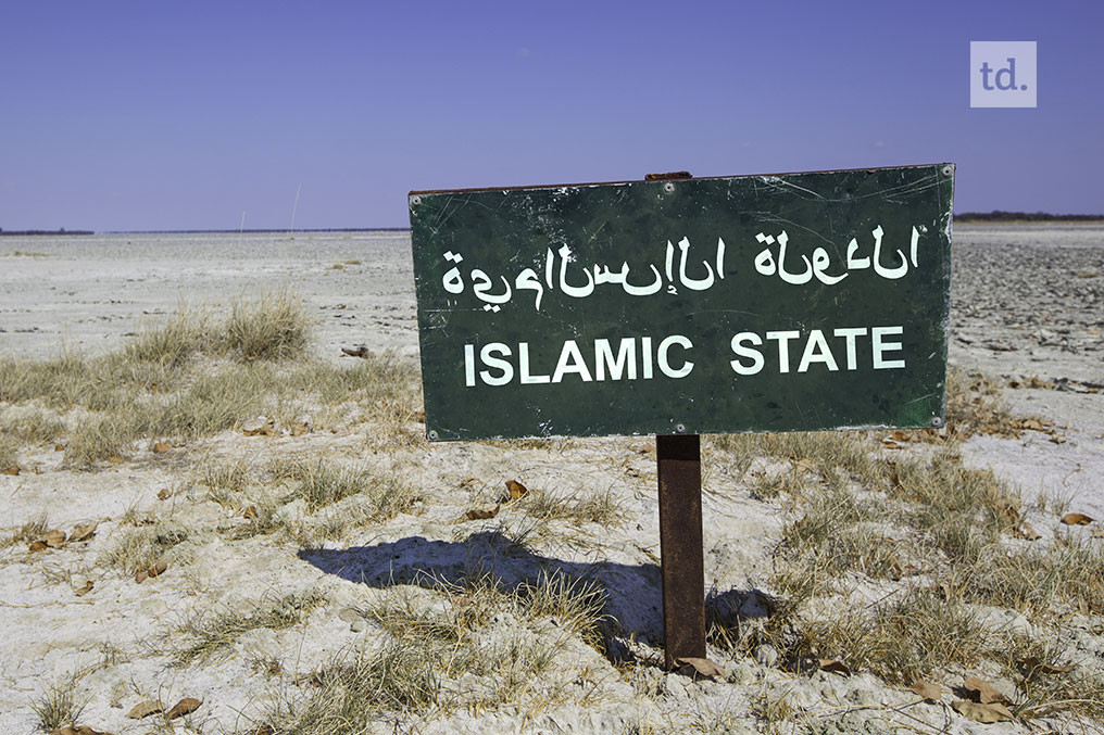 La fin programmée du califat en Irak et en Syrie