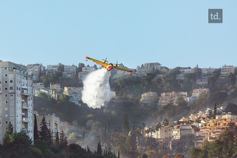 Nombreux incendies criminels en Israël 