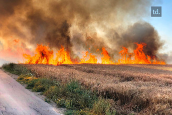 Nouveau cessez-le-feu à Gaza 