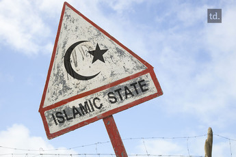 Six djihadistes étrangers tués en Syrie