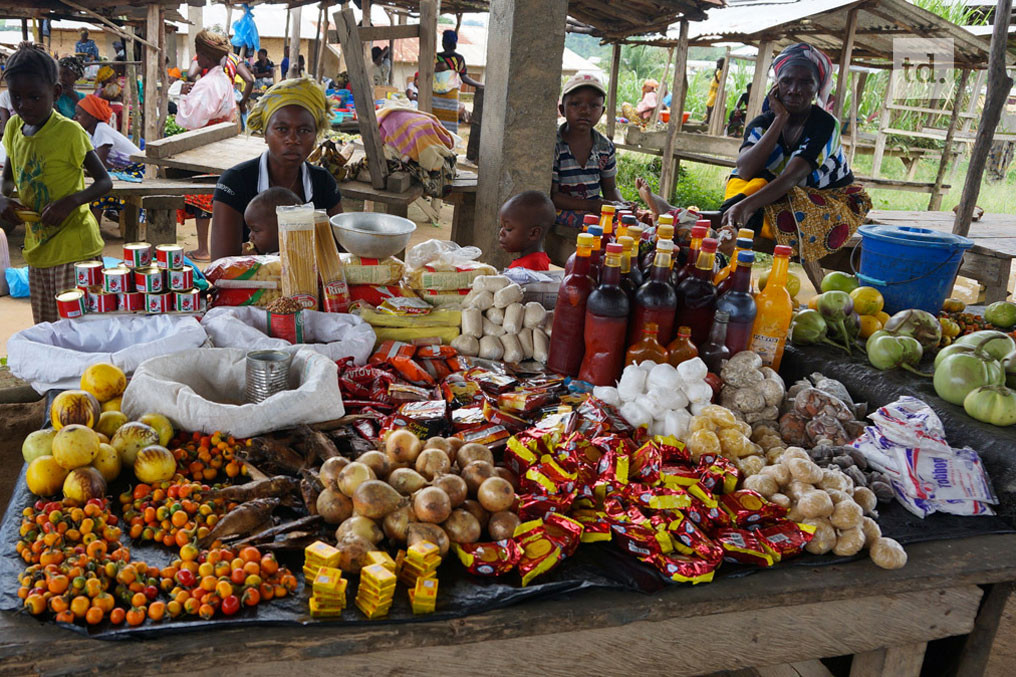 Appui financier de la FAO aux pays touchés par Ebola